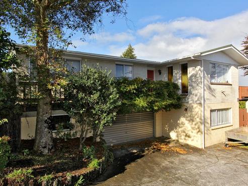 5 Bushview Place, Upper Vogeltown