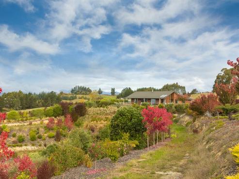 46 Carlyon Road, Mahana