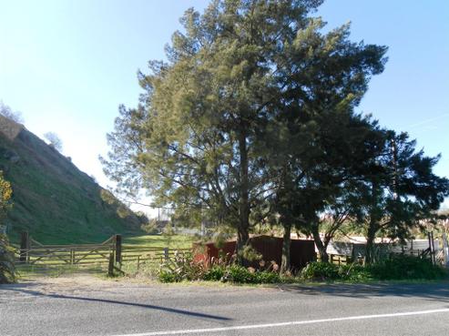 2 Kaimata Road, Bay View