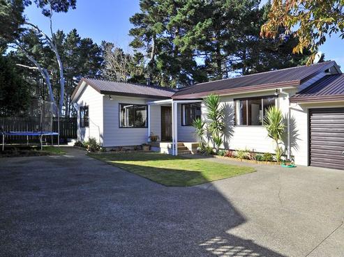 139 Carnoustie Drive, Wattle Downs