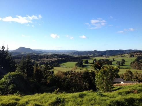 524D Crane Road, Kauri