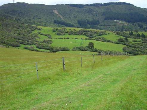 297 Mount Cargill Road, Mount Cargill