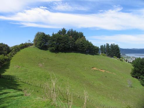 95 Moewai Road, Whitianga
