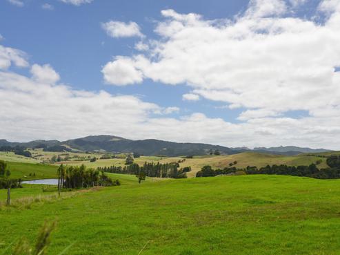 403A Kaiwaka-mangawhai Road, Kaiwaka