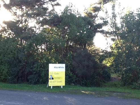 20 Paloona Street, Aramoana