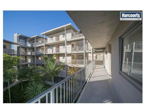 2/20D Morning Star Place, Mount Albert