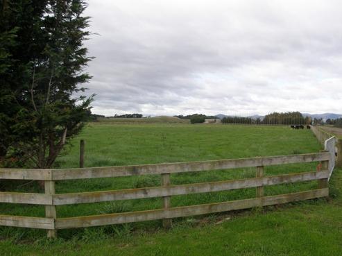 54 Hickford Road, Foxton