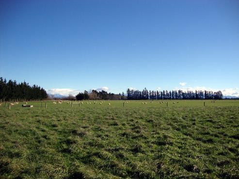 1195 Coaltrack Road, Darfield