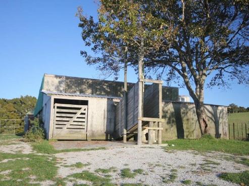 250 Page Road, Ruawai