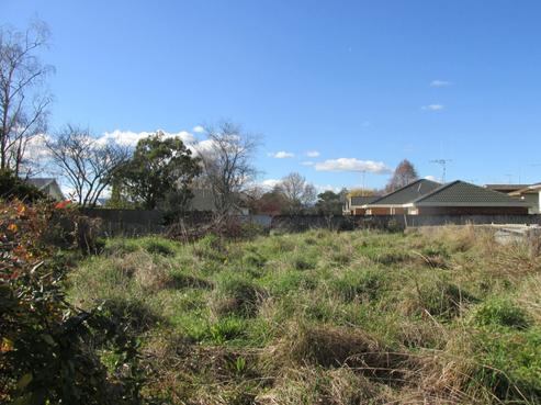 83 Buckland Street, Putaruru