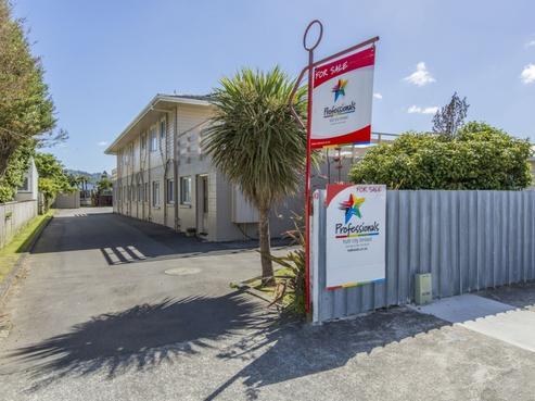 3D Manchester Street, Petone