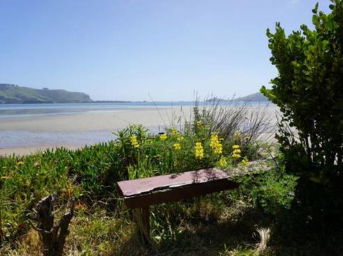 90 Otakou Golf Course Road, Harington Point