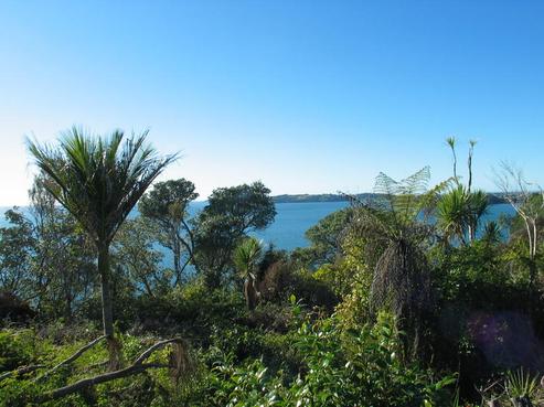 102 Vipond Road, Stanmore Bay
