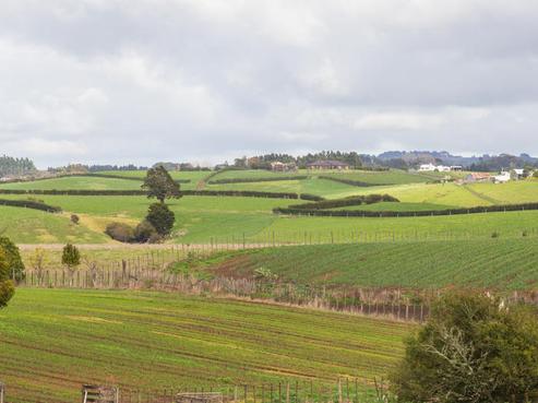 1246 Great South Road, Runciman