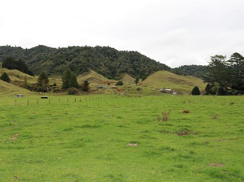 2641 Motu Road, Opotiki Coastal