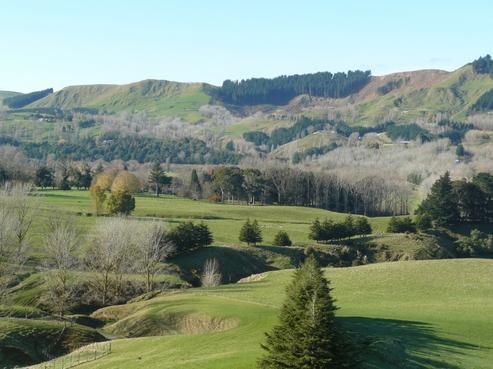 570 Matangi Road, Havelock North