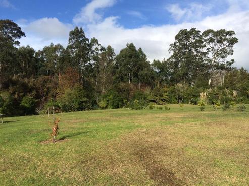 40 Alderton Drive, Kerikeri