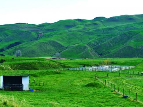 320 Rochfort Road, Havelock North