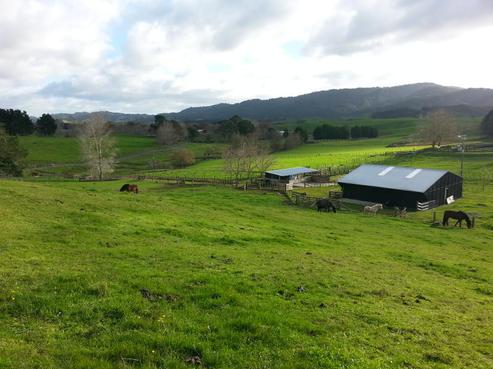 729A Kaiaua Road, Mangatangi