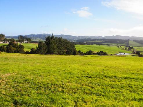 943 Kaiwaka-mangawhai Road, Kaiwaka