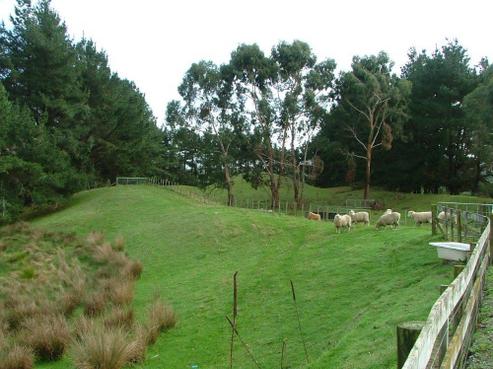 230 Hokio Sand Road, Hokio Beach