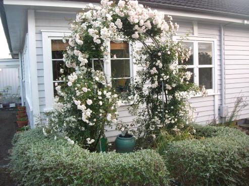 62 Kiripaka Road, Tikipunga