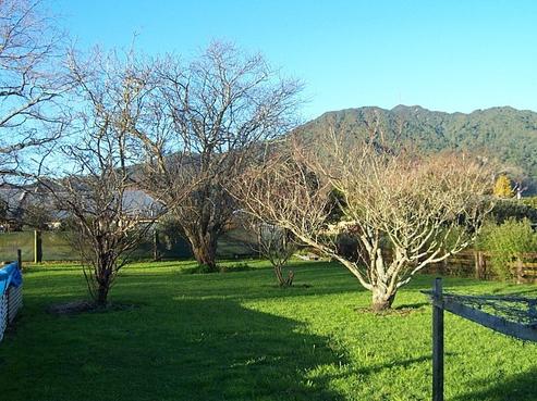 100 Stanley Avenue, Te Aroha