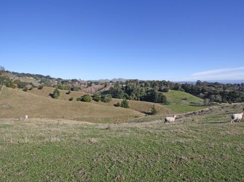 200 Durham Drive, Havelock North