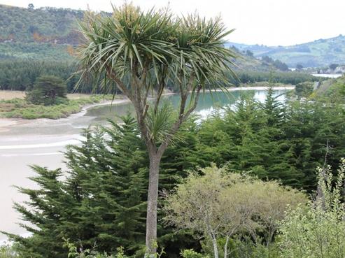 17 Ridge Street, Purakaunui