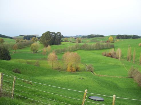 24 Irvine Road, Otorohanga