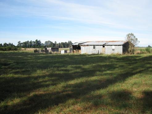 225 Waterloo Road, Mossburn