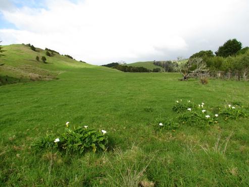 138 Duncan Road, Kaingaroa