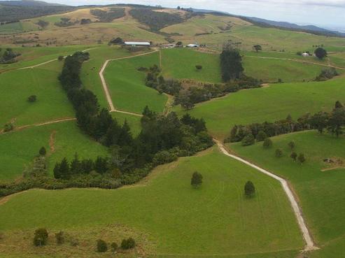 732 Mangatu Road, Dargaville Surrounds