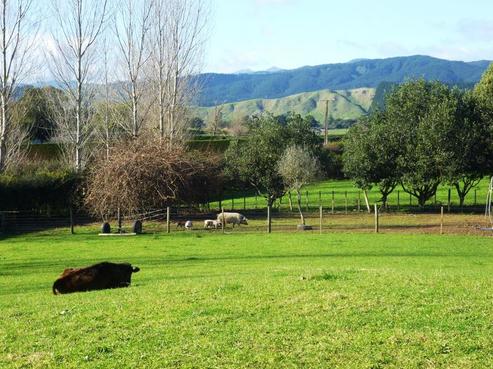 53A Takapu Road, Manakau
