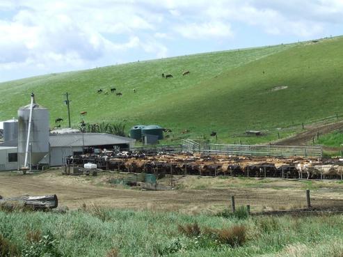 3885 Waimate Highway, Morven