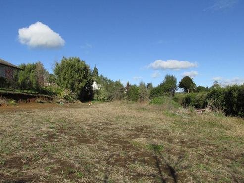 33A Herbert Street, Kihikihi