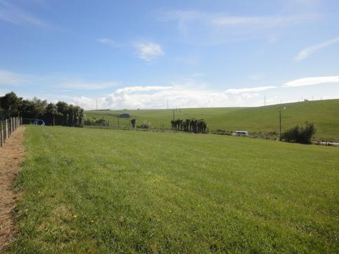 19 Mahoneys Hill Road, Washdyke