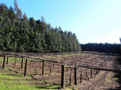 201 Wright Road, Aongatete