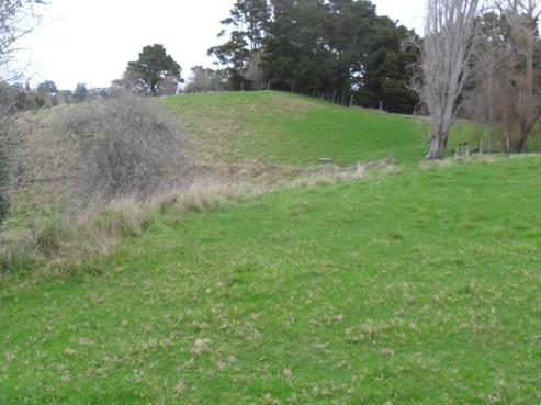 23 Mcgillivray Road, Wellsford