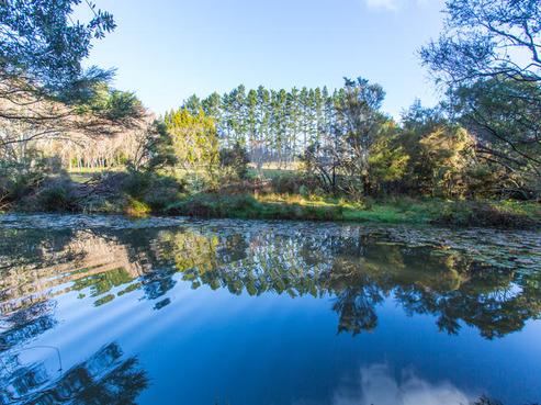 86 Sanders Road, Paremoremo