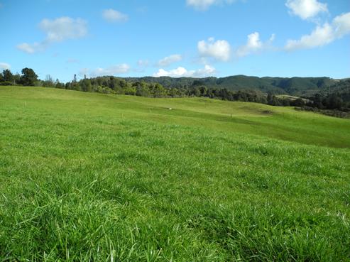 117 Okoko Road, Otorohanga