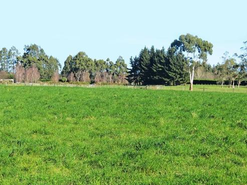 93 Butchers Road, Clarkville