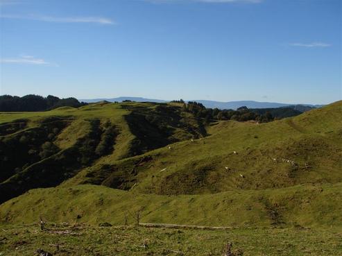 417 Kirikau Valley Road, Taumarunui