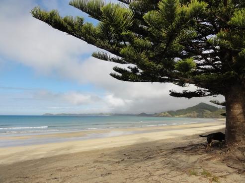 354 Hailes Road, Whananaki