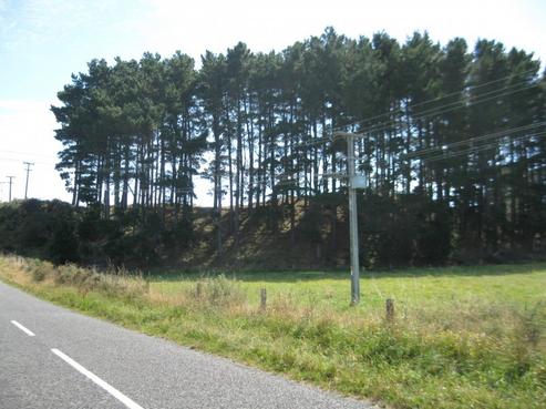116 Hickford Road, Foxton