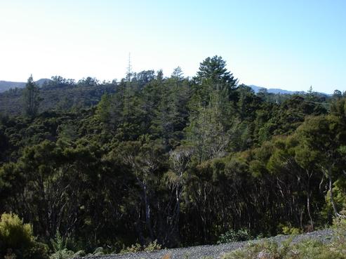 272 Aucks Road, Russell
