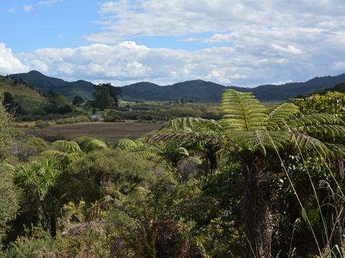 1818 Waikare Road, Russell Surrounds