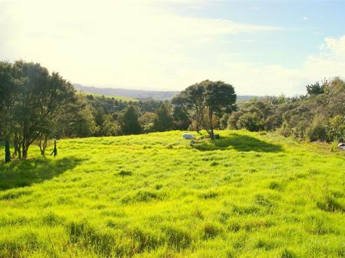 254 Govan Wilson Road, Whangaripo