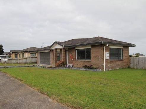 69 Pitt Avenue, Clendon Park
