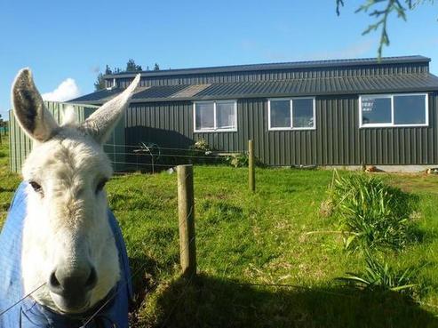 6D Hawkins Place, Dargaville Surrounds
